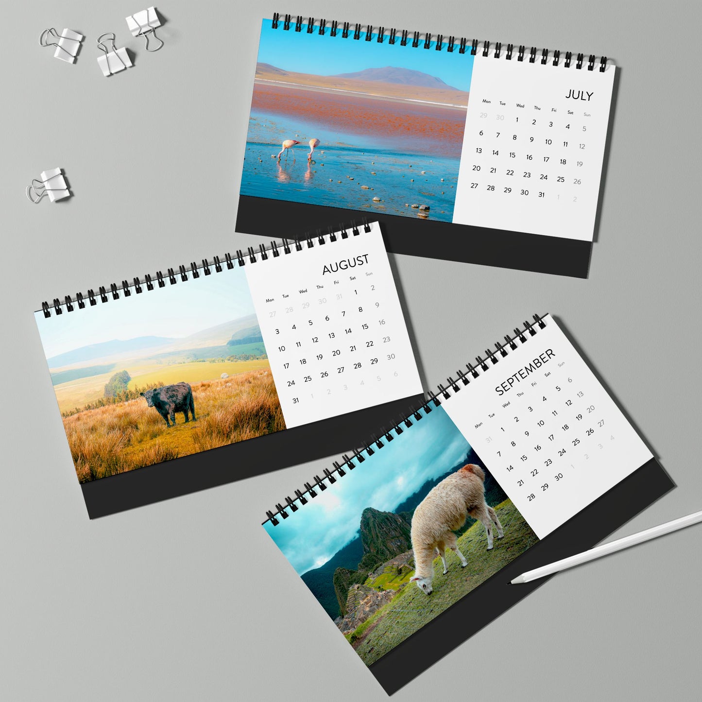 2026 Wildlife Desk Calendar