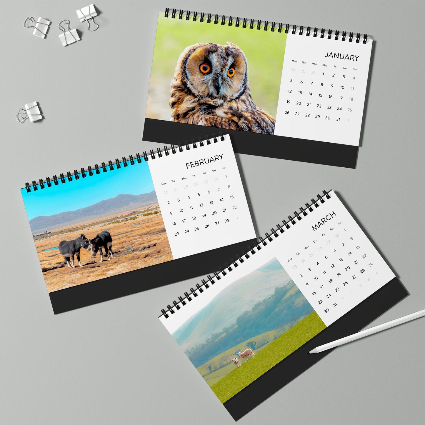 2026 Wildlife Desk Calendar