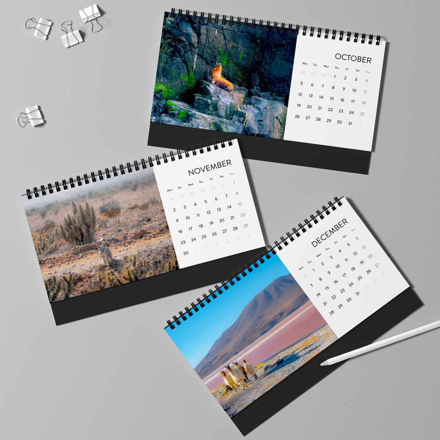 2026 Wildlife Desk Calendar