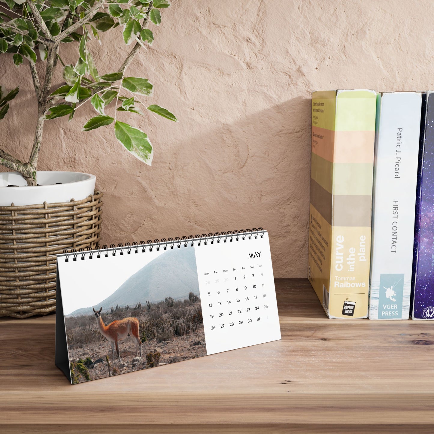 2025 Calendar - Wildlife Edition (Desk)