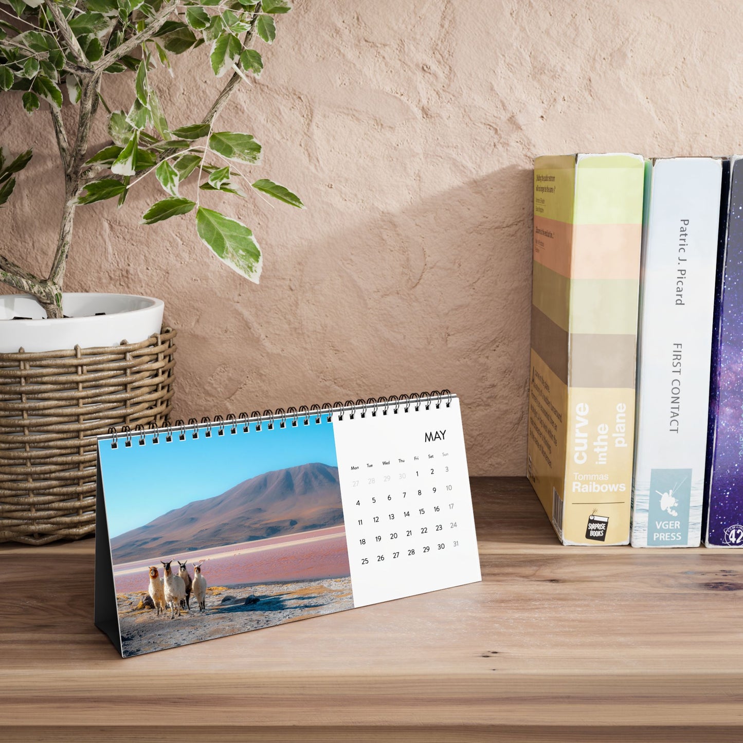 2026 Landscape & Travel Photography Desk Calendar