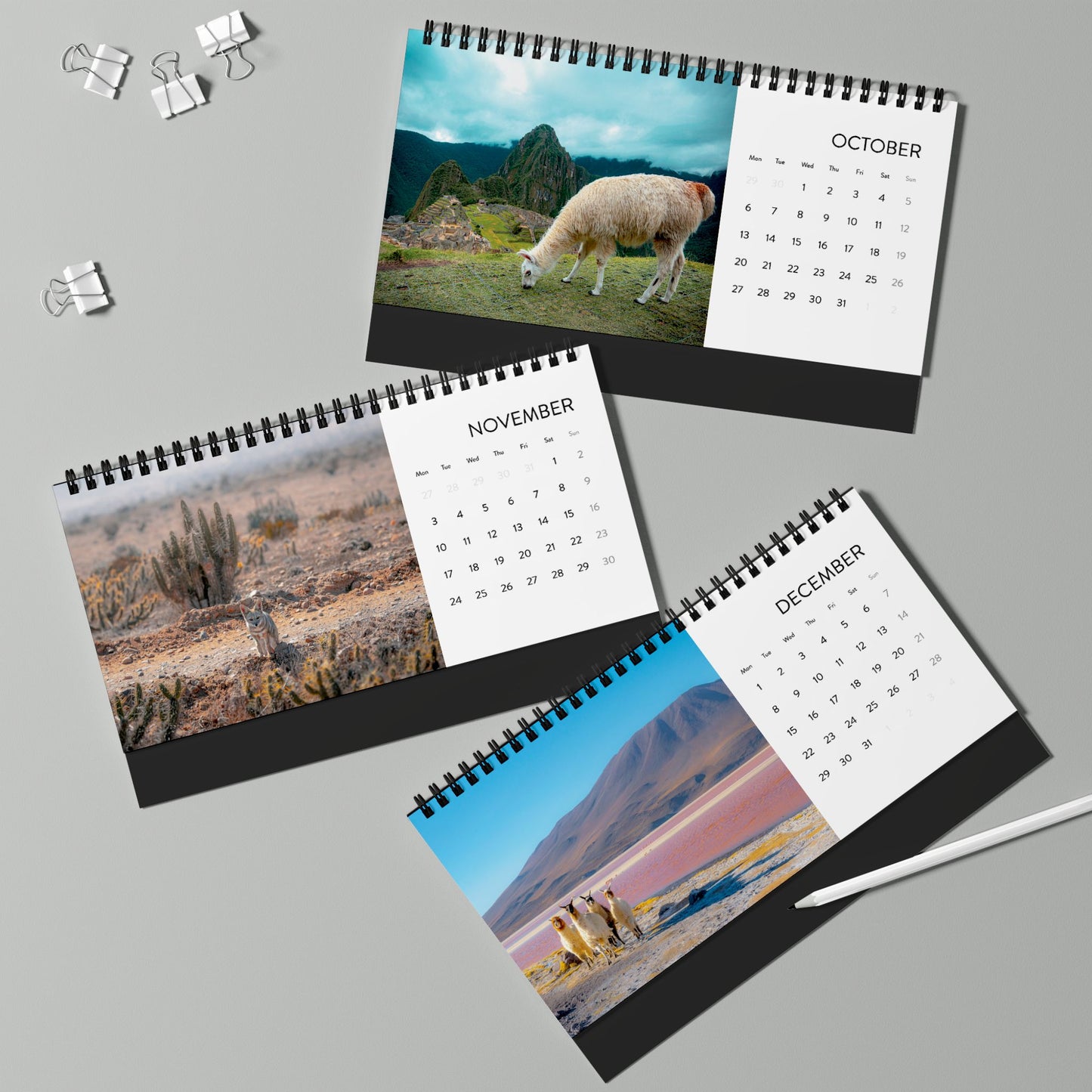 2025 Calendar - Wildlife Edition (Desk)