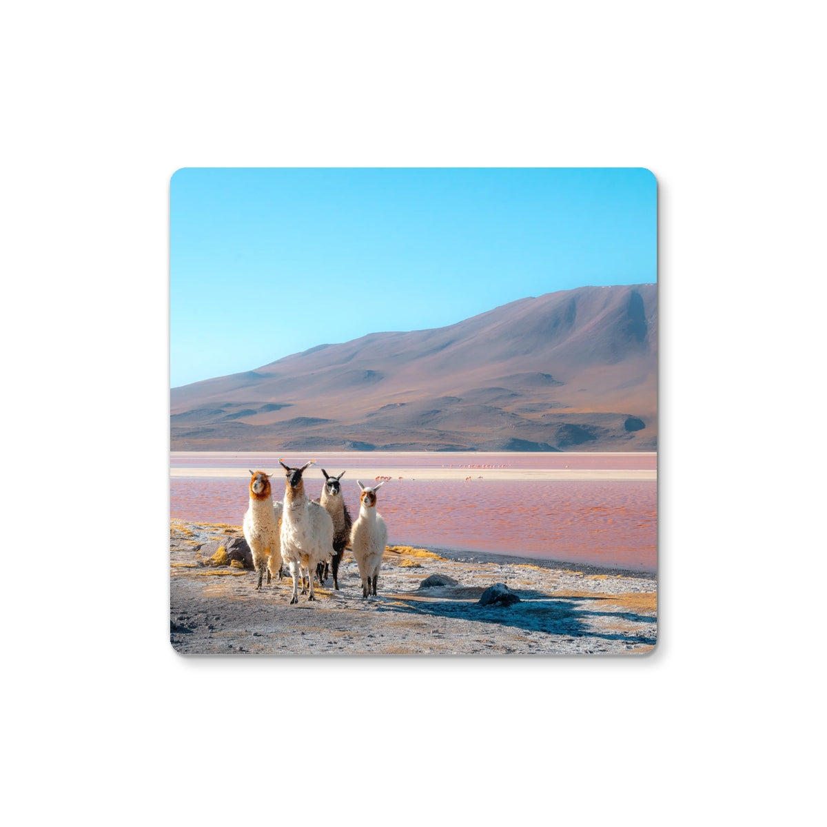 Photography Coaster - Multiple Photo Options Available
