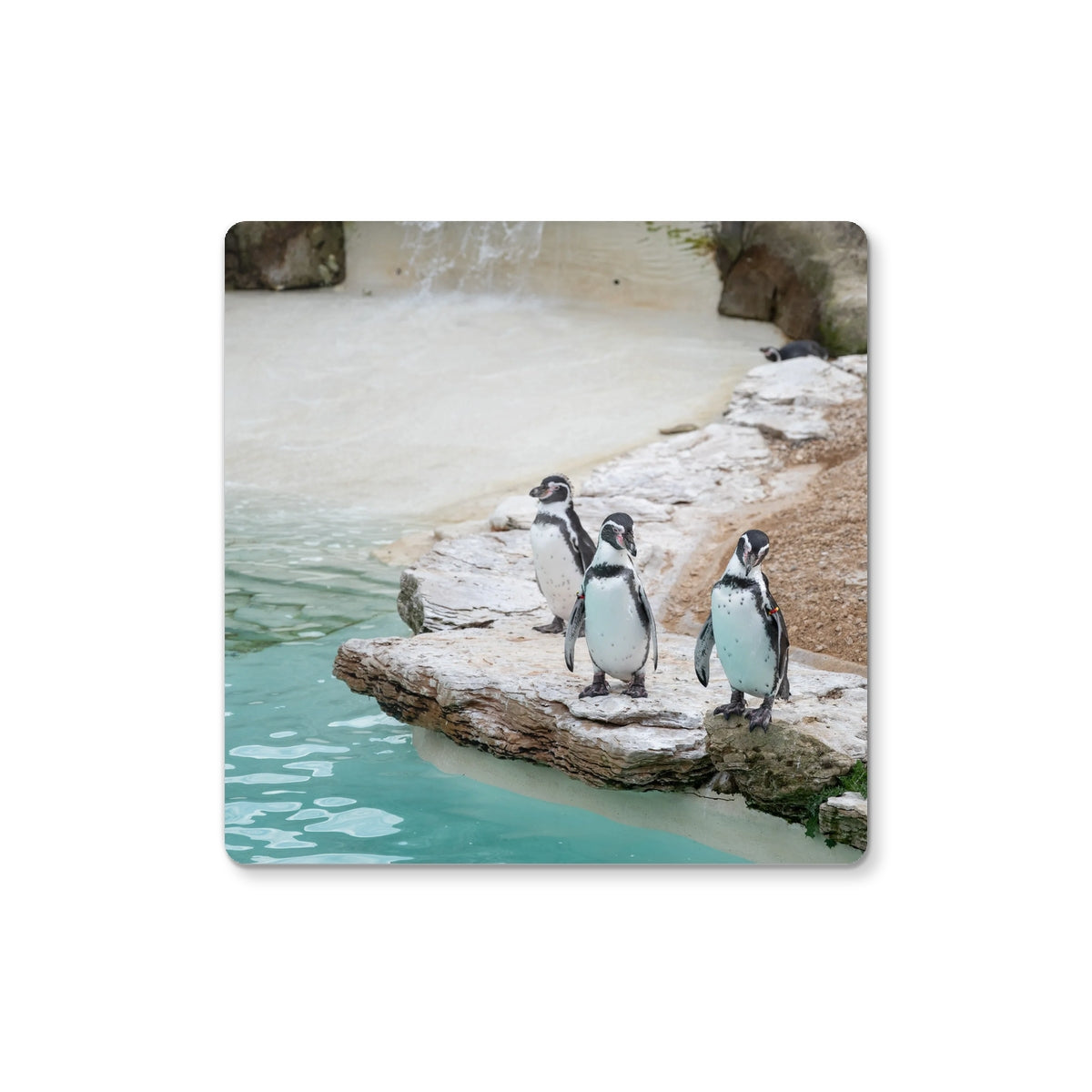 Photography Coaster - Multiple Photo Options Available