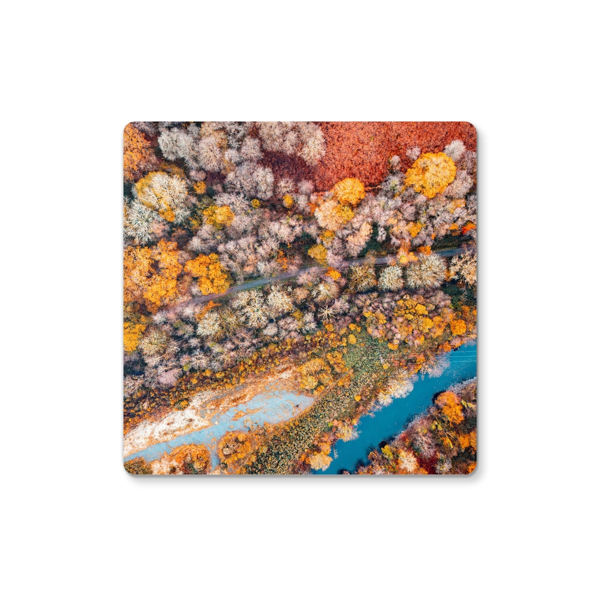 Photography Coaster - Multiple Photo Options Available