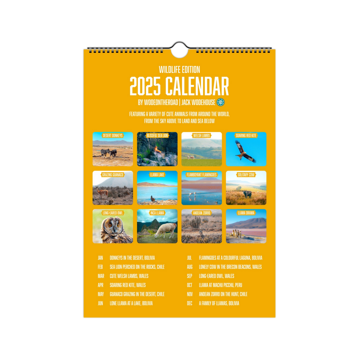 2025 Calendar - Wildlife Edition (Wall)