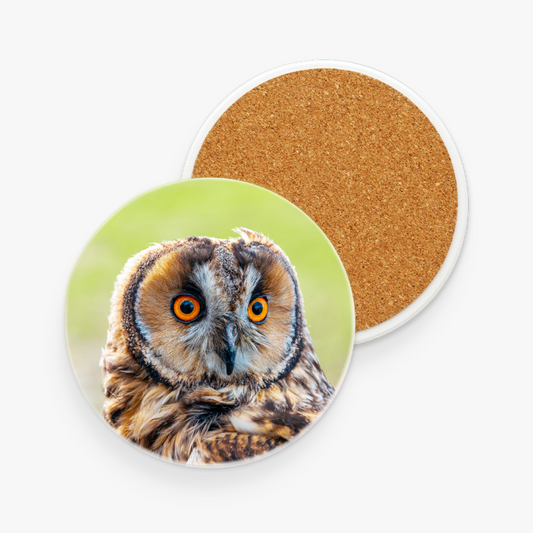 Ceramic Coaster - Owl