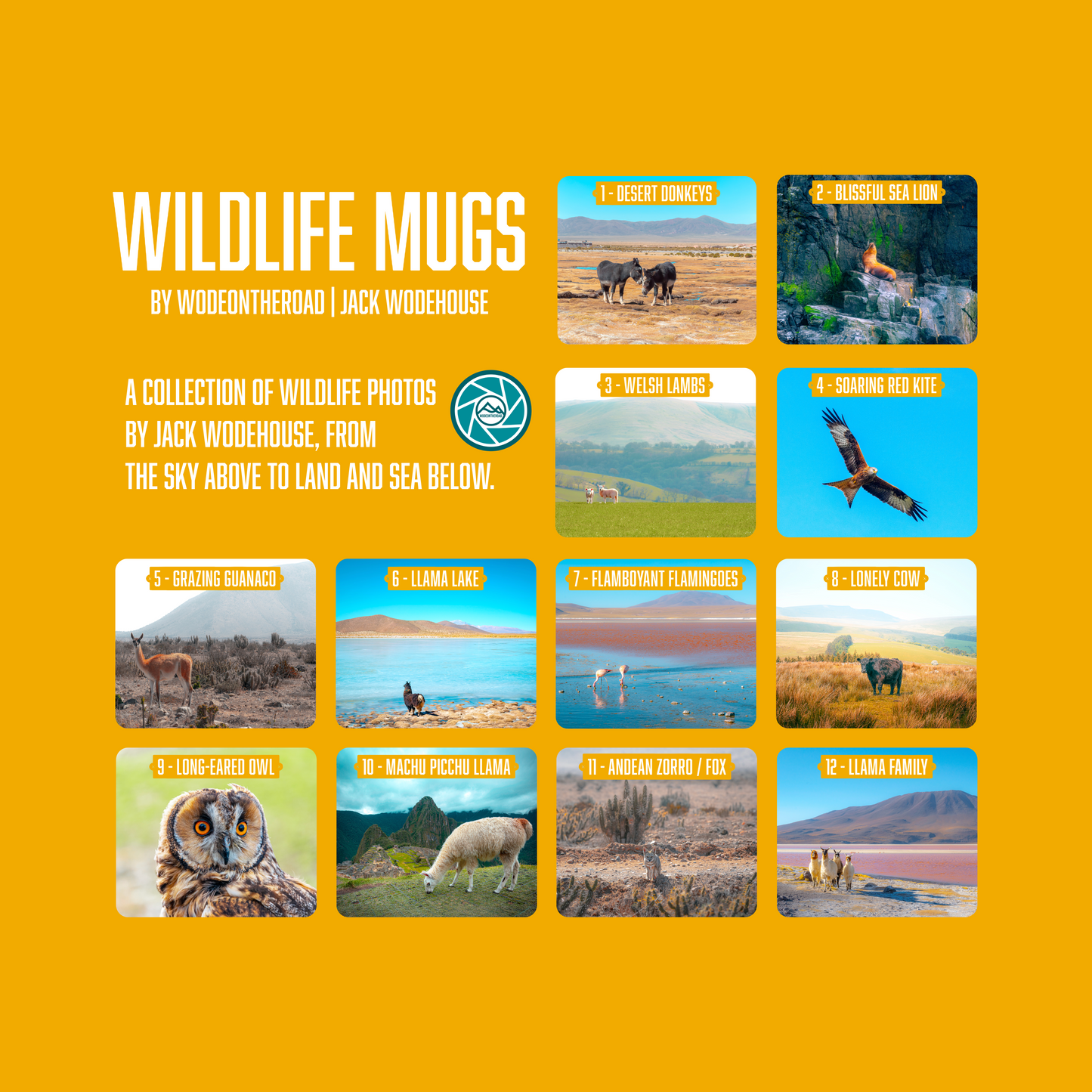 Wildlife Photography Mug (Multiple Photo Options Available)