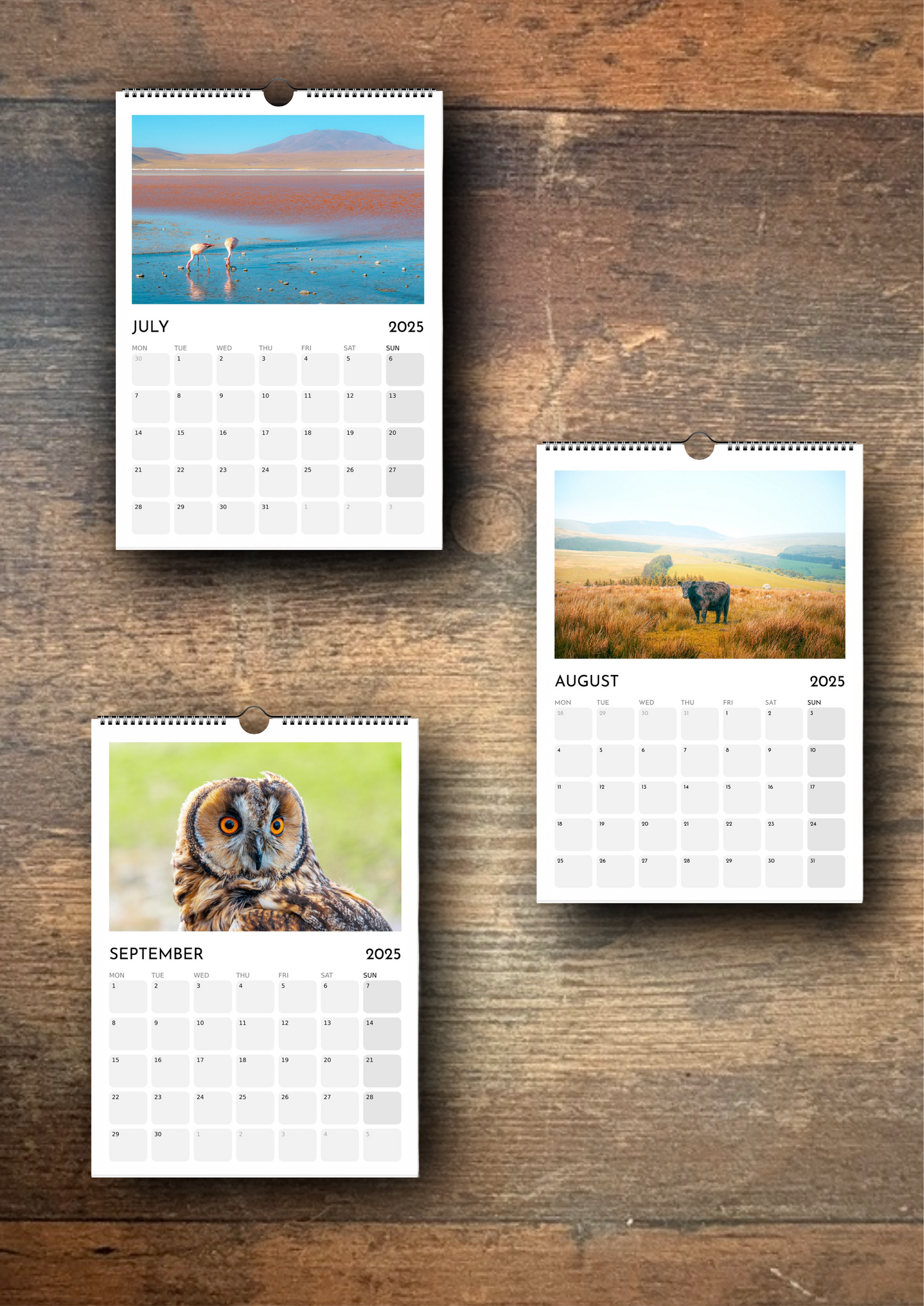 2025 Calendar - Wildlife Edition (Wall)