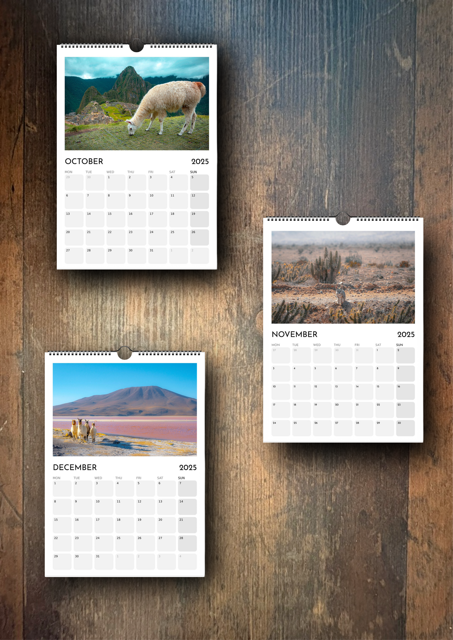 2025 Calendar - Wildlife Edition (Wall)